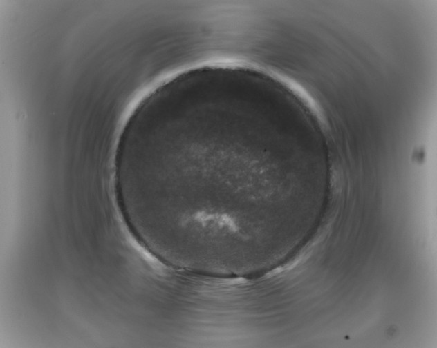 X0000091951327200709131155