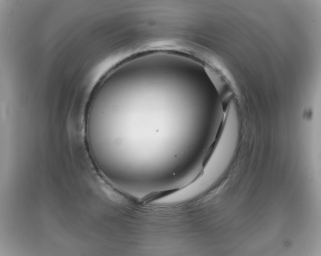 X0000091951328200709131155