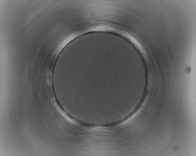 X0000091951329200709131156