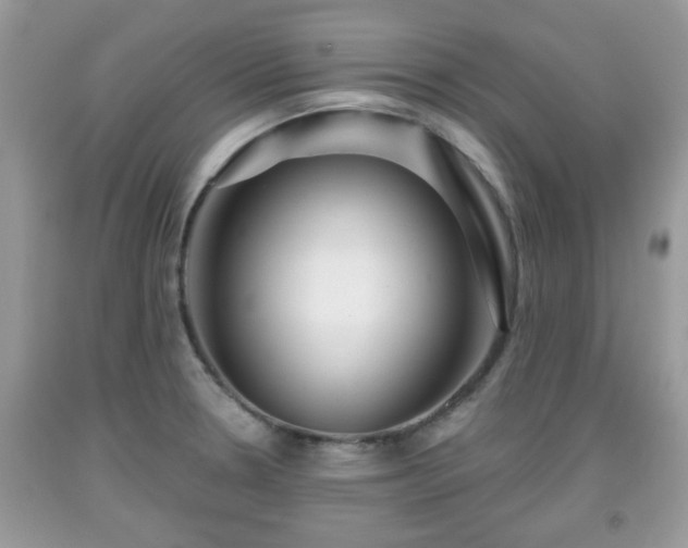 X0000091951330200709131156