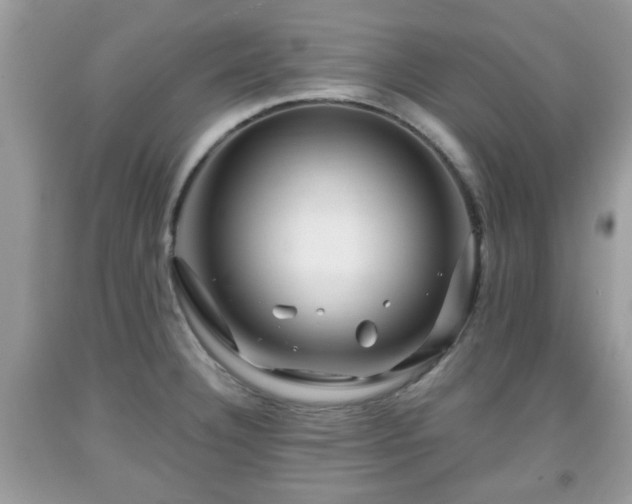 X0000091951332200709131156