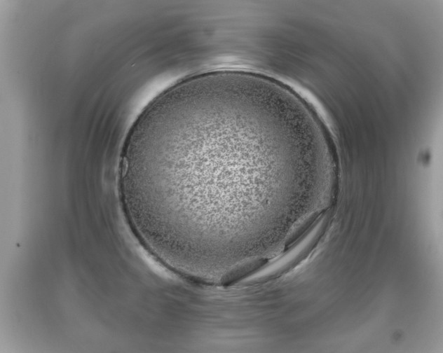 X0000091951333200709131156