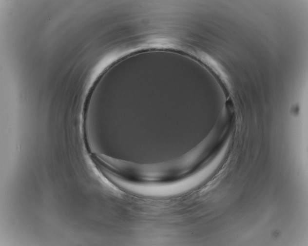 X0000091951334200709131156