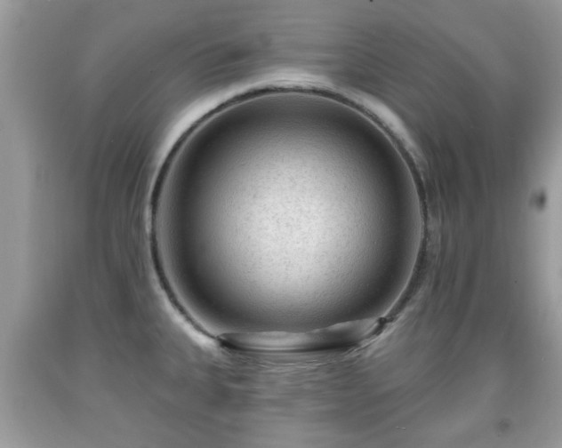 X0000091951335200709131156