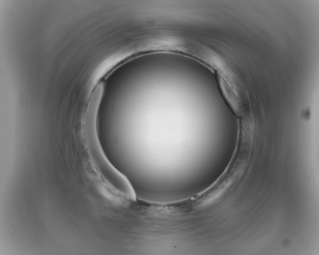 X0000091951336200709131156