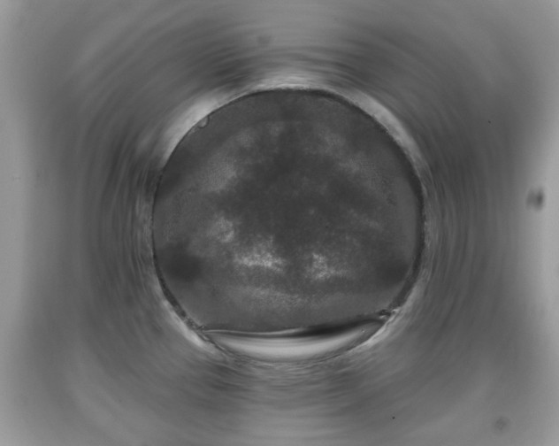 X0000091951337200709131156