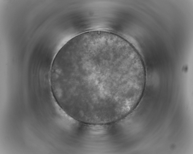 X0000091951338200709131156