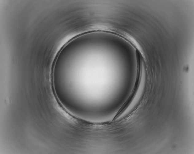 X0000091951339200709131156
