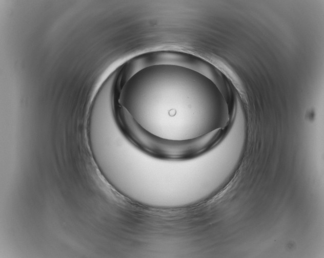 X0000091951340200709131156