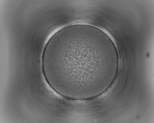 X0000091951341200709131156