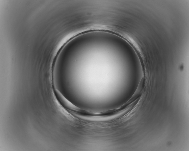 X0000091951342200709131156
