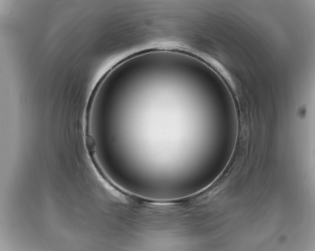 X0000091951343200709131156
