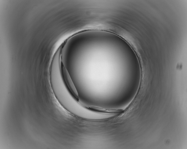 X0000091951344200709131156