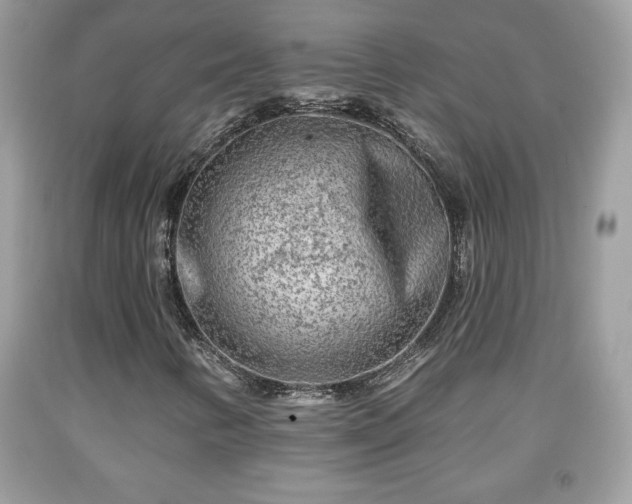 X0000091951346200709131155