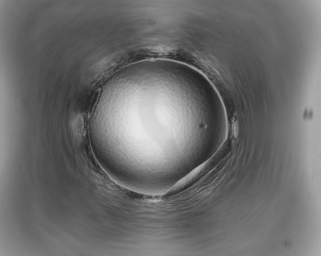 X0000091951347200709131155