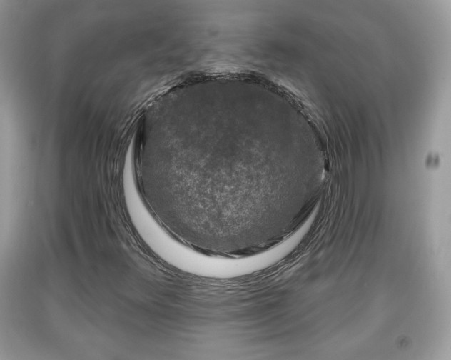X0000091951348200709131155