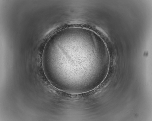 X0000091951350200709131155