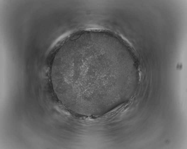 X0000091951351200709131155