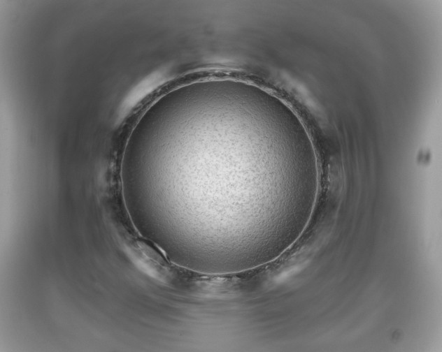 X0000091951352200709131155