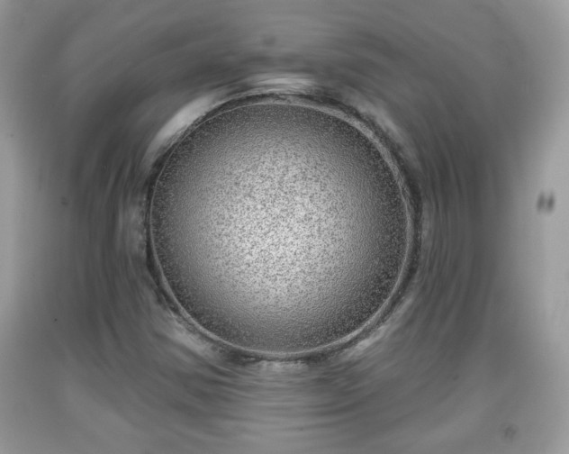 X0000091951354200709131155