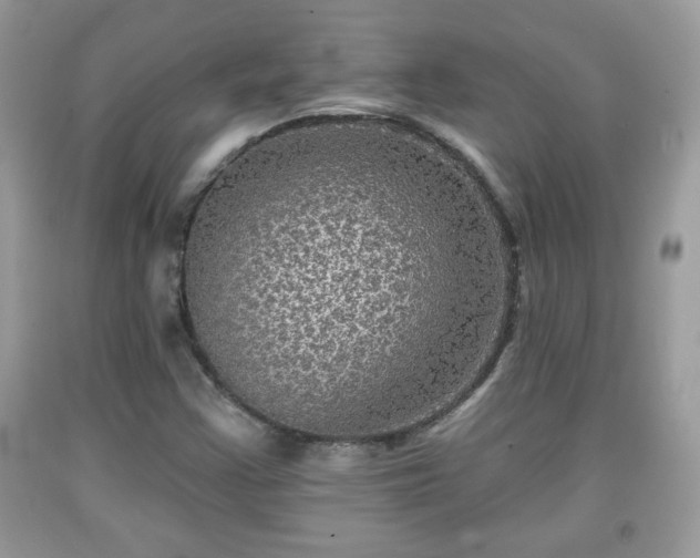X0000091951355200709131155