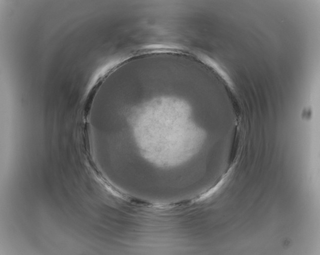 X0000091951357200709131155