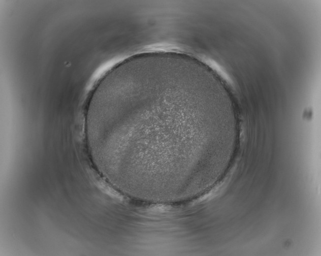 X0000091951358200709131155