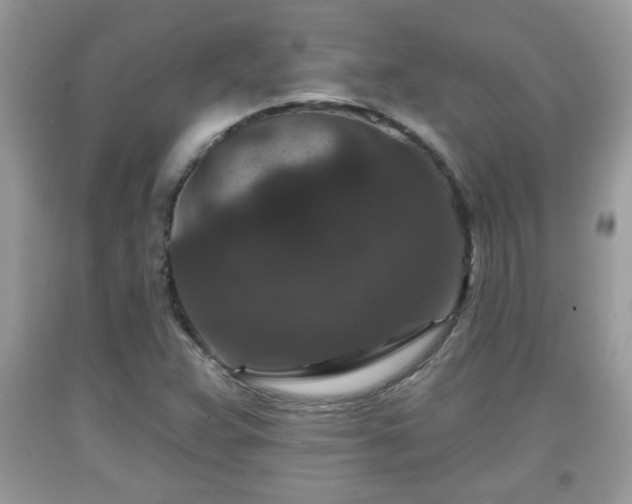 X0000091951359200709131155