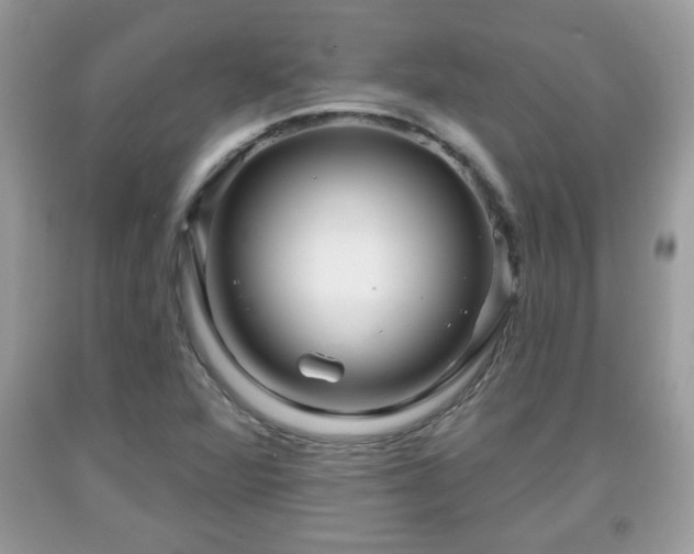 X0000091951360200709131155