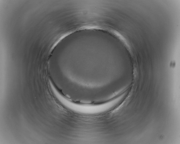 X0000091951361200709131155