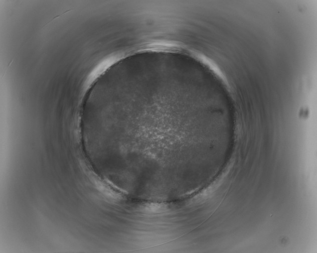 X0000091951362200709131155