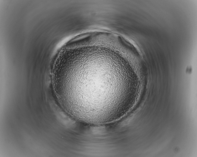 X0000091951363200709131155