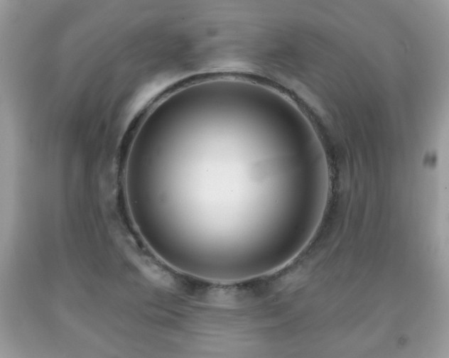 X0000091951364200709131155