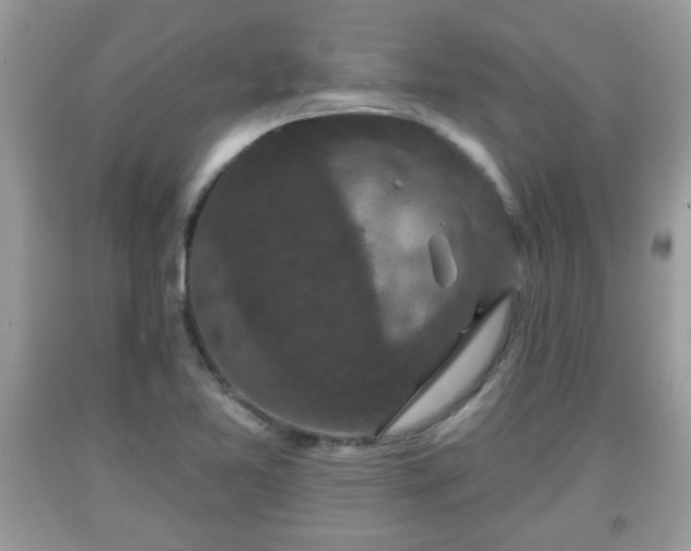 X0000091951365200709131155