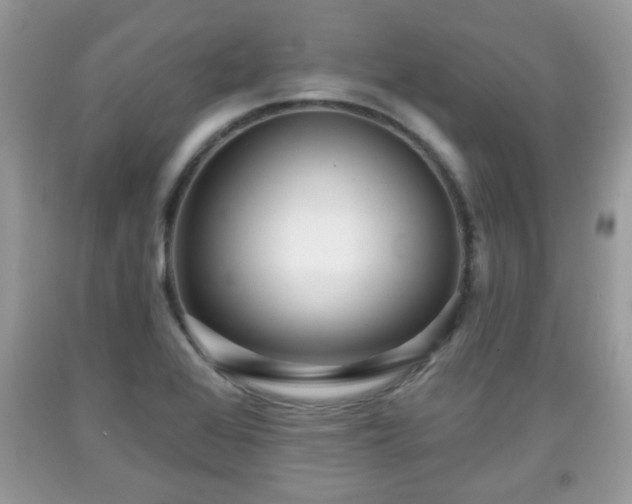 X0000091951368200709131155