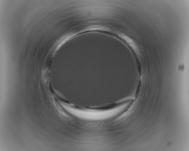 X0000091951369200709131155