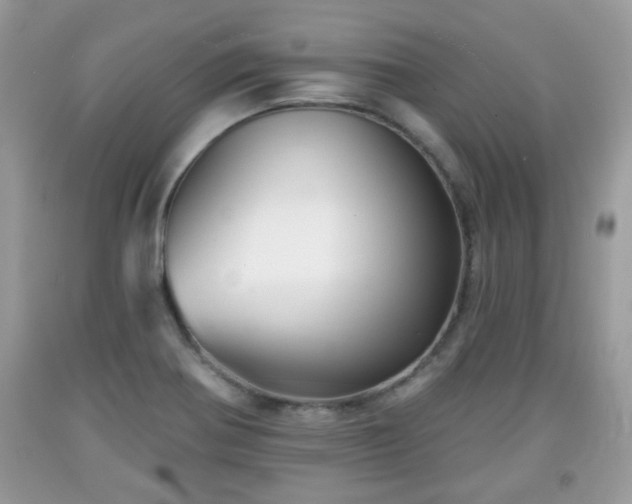 X0000091951370200709131155