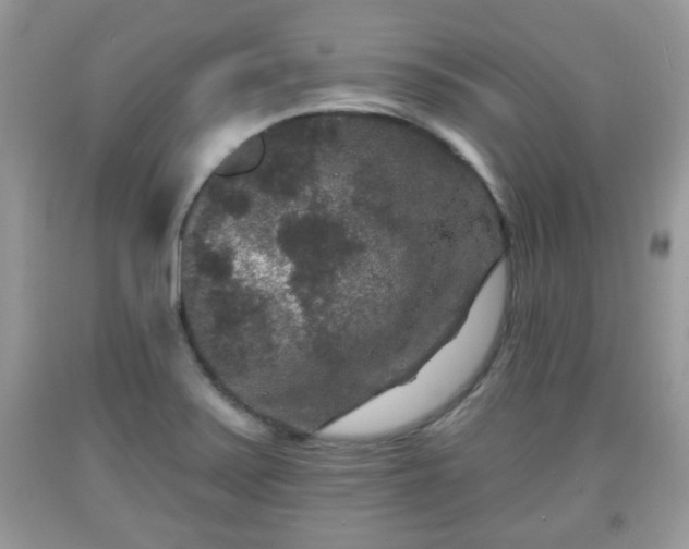 X0000091951371200709131155
