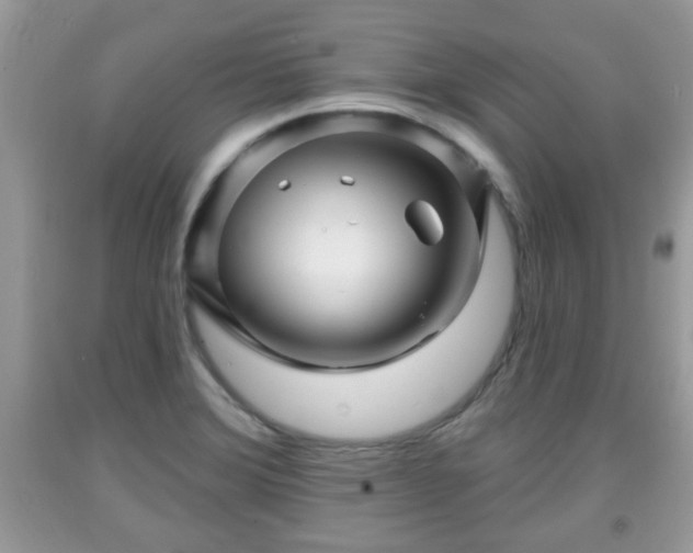 X0000091951372200709131155