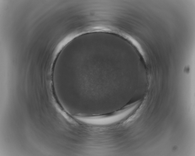 X0000091951373200709131155