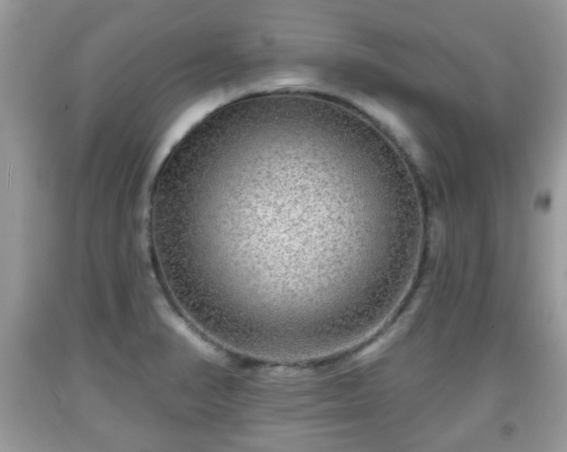 X0000091951374200709131155