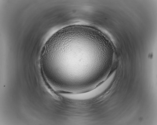 X0000091951375200709131155