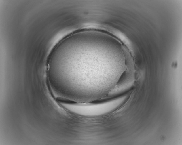 X0000091951376200709131155