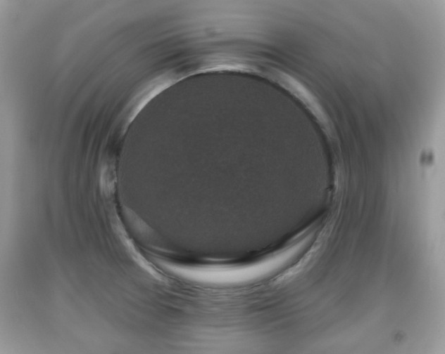 X0000091951377200709131155