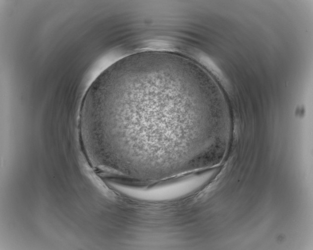 X0000091951378200709131155