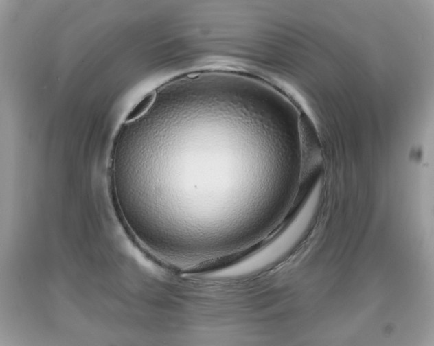X0000091951379200709131155