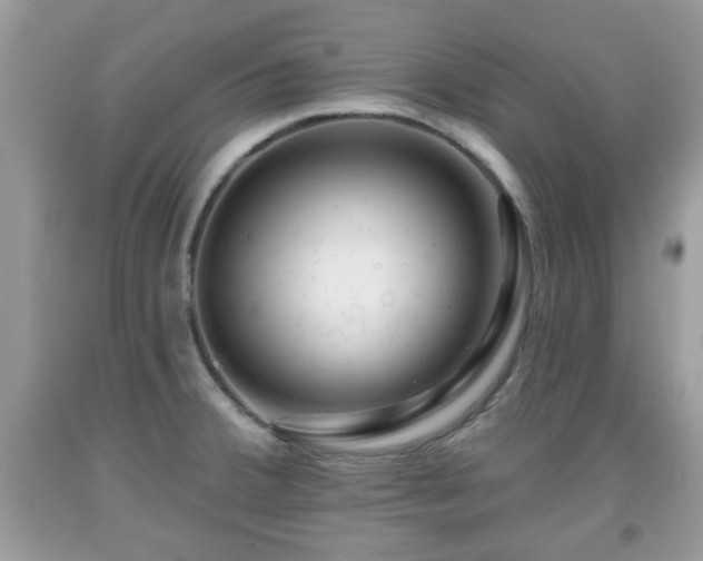 X0000091951380200709131155