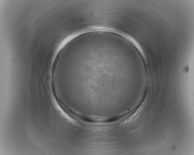 X0000091951381200709131155