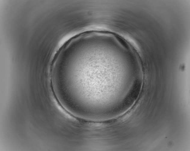 X0000091951382200709131155