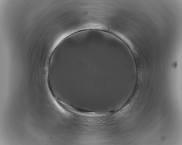 X0000091951383200709131155